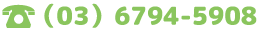 電話:(03)6794-5908